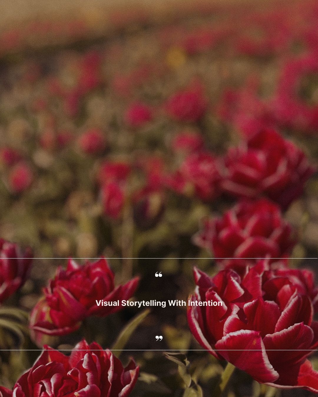 The Curated Digital Presence: Visual Storytelling with Intention